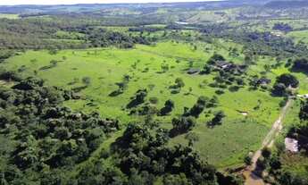 Imagem: Fazenda 32 alqueires a venda em Bela Vista