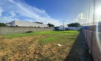 Imagem 7: Lote Ponta Negra 2 - 600m² - Lote Plano e pronto para transferir