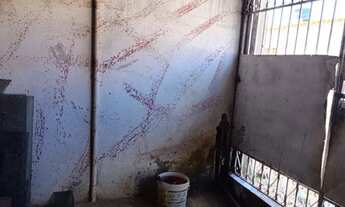 Imagem 4: Vendo casa no sol nascente trecho 3 proximo terminal onibus qnr