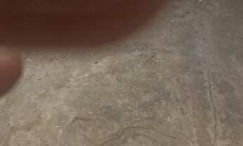 Imagem 6: Duas Casa Campinas