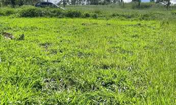 Imagem 3: Lotes na cidade de São Roque - SP interior