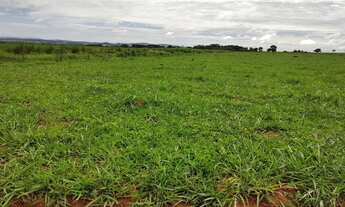 Imagem 4: FAZENDA Á VENDA 75 ALQUEIRES URUANA - GO