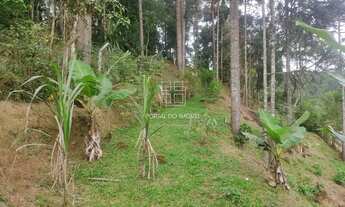 Imagem 3: Terreno à Venda Campina Grande do Sul