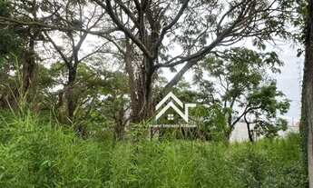 Imagem 4: Terreno Excelente Localização