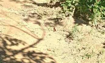 Imagem 6: Linda chacara com ribeirao casa pitoresca apenas 123 mil.reais