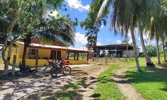 Imagem: Vende se essa linda fazenda