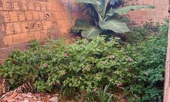 Imagem 7: Vendo lote no sol nascente