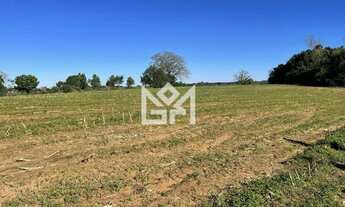 Imagem 6: Casa à venda no bairro Parque Itacolomi em Gravataí com 25.000m² de área total