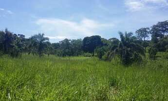 Imagem: 10 alqueires 172 km de Goiânia