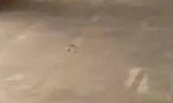 Imagem 6: COMERCIAL - BROOKLIN - SP