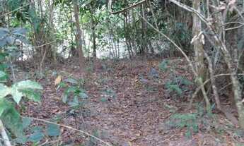 Imagem 5: Sitio com 15 hectares com várias estruturas, 4 km da cidade de Nova Mutum MT