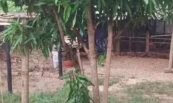 Imagem 4: Chacara Mairipotaba