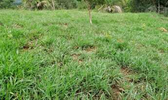 Imagem 2: 10 alqueires 172 km de Goiânia
