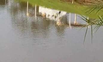 Imagem 4: Oportunidade! Excelente lote a venda em Caldas Novas no bairro que mais cresce da cidade!