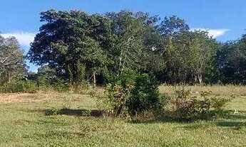 Imagem 5: Terreno Comercial as margens da MG 010