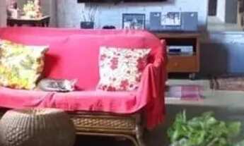 Imagem 3: Casa com 2 dormitórios para alugar, 80 m² por R$ 1.450,00 - Sabaúna - Mogi das Cruzes/SP