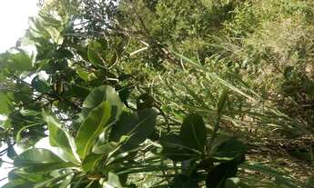 Imagem 2: Chácara Condominio Mirela 2