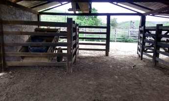 Imagem 5: Vende se propriedade