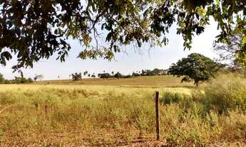 Imagem 6: Sítio em Castilho com 3 alqueires