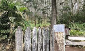 Imagem 5: SÍTIO ELDORADO 260.000M2 CASA, PISCINA, 3 LAGOS, QUATINGA MOGI DAS CRUZES SP