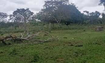 Imagem 7: Oportunidade, Chácara 3 Hectares ( Escriturada e Registrada