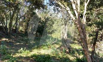 Imagem 2: Viamão - Terreno Padrão - Viamópolis