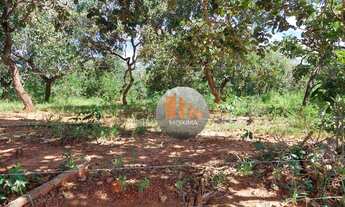 Imagem 5: Fazenda à venda, 798600 m² - Zona Rural - Jaraguá/Goiás