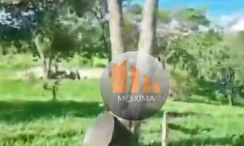 Imagem 3: Fazenda à venda, 60 alqueires por R$ 8.000.000 - Padre Bernardo/GO