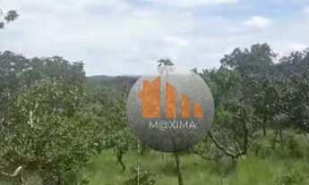 Imagem 6: Fazenda à venda, 1.480 alqueires por R$ 51.800.000 - Araguapaz/GO