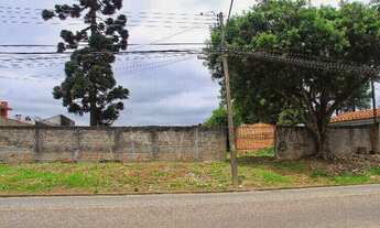 Imagem 2: 2 TERRENOS ADJACENTES PARA VENDA OU LOCAÇÃO COM 1.200 m2 - BAIRRO VARGEM GRANDE PINHAIS