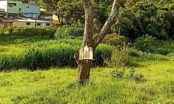 Imagem 2: Lote em Novo Retiro - Esmeraldas