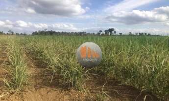 Imagem 3: Fazenda à venda, 644 alqueires por R$ 400.000.000 - Acreúna/GO
