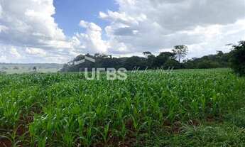 Imagem 7: Fazenda/Sítio/Chácara para venda tem 288000 metros quadrados