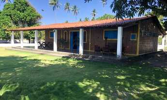 Imagem 3: Venha se apaixonar pelas belezas naturais de Barra de Mamanguape/PB!!