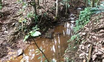 Imagem: Fazenda 8 alqueires - Itaberaí - Goiás
