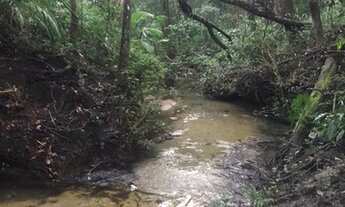 Imagem 6: OPORTUNIDADE - FAZENDA - 30HA - APROX. 12KM DE ALTO PARAÍSO SENTIDO SÃO JORGE - ESCRITURA