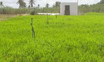 Imagem 2: Granja com 4.7 hectares entre Macaíba e vera cruz