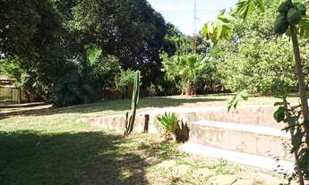 Imagem 2: Chácara Urbana Toda Formada Asfalto Porta Cidade Ocidental Goiás