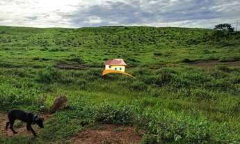 Imagem 7: Fazenda para Venda, Área rural com expansão consolidada
