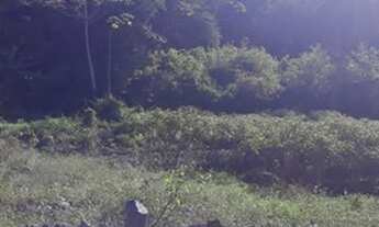 Imagem: Vendo terreno em Guaramiranga 10 x 40