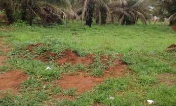 Imagem 6: Área Chácara de Recreio São Joaquim