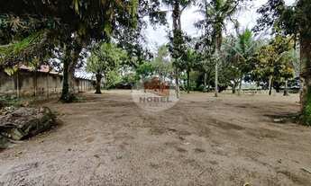 Imagem 4: Chácara Venda com Área Total 5.000 m² Cidade Amélia Rodrigues Bahia