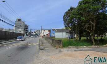 Imagem 4: São José - Terreno Padrão - Praia Comprida