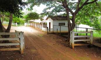 Imagem 7: Vendo Sitio Próximo ao ABC no Goiás