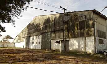 Imagem 3: Galpão/Depósito/Armazém para aluguel com 4000 metros quadrados em Thomaz Coelho - Araucári