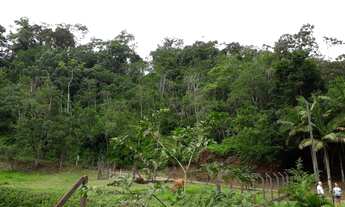 Imagem 3: SITIO RESIDENCIAL em JARAGUÁ DO SUL - SC, TRÊS RIOS DO NORTE