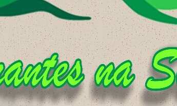 Imagem 2: Canal Mirantes na Serra-Anúncio 04 Mirante Viçosa do Ceará no Sítio Ladeira Grande (topo