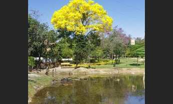 Imagem 4: Chácara Itaberaí com 1 alqueire e 14 litros