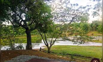 Imagem 5: Excelente Chácara em Senador Canedo