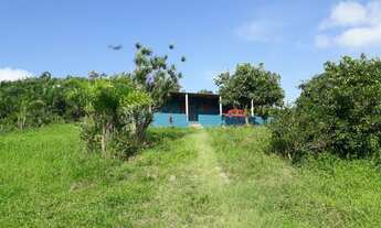 Imagem 5: Fazenda 444 Hectares, Pastagem, Produção de Palmito Pupunha (Willian Ricardo